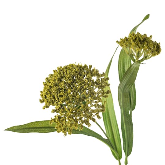 Green Queen Anne's Lace Stem by Ashland®